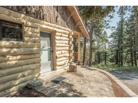719 Singletree Rd, Hartsel, CO 80449 photo 7