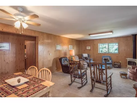 719 Singletree Rd, Hartsel, CO 80449 photo 11