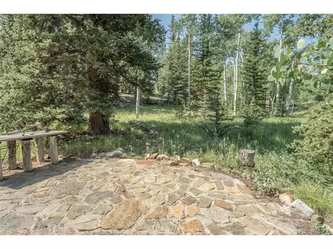 719 Singletree Rd, Hartsel, CO 80449 photo 35