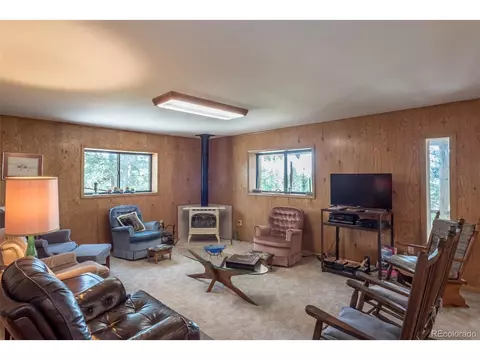 719 Singletree Rd, Hartsel, CO 80449 photo 15