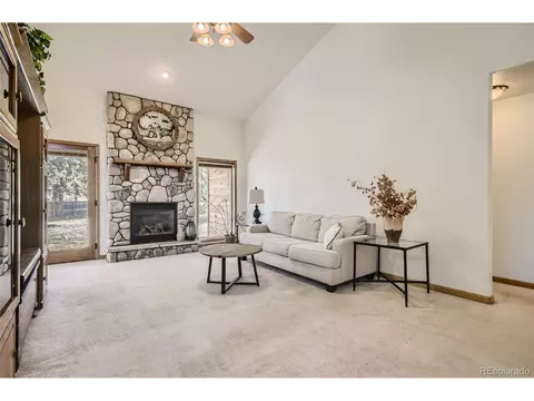 17 Aspen Ln, Bailey, CO 80421 photo 8