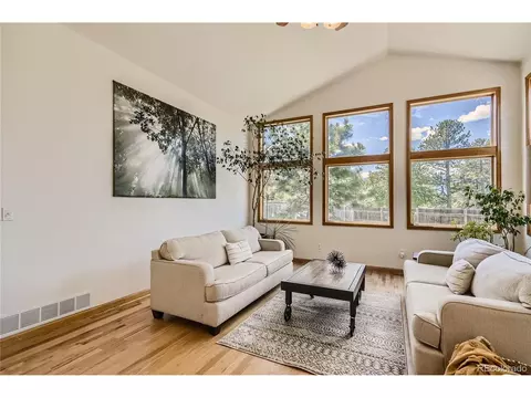 17 Aspen Ln, Bailey, CO 80421 photo 17