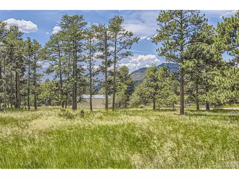 17 Aspen Ln, Bailey, CO 80421 photo 33