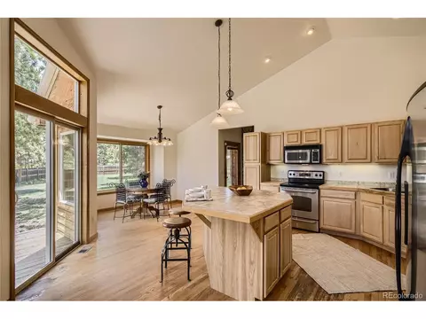 17 Aspen Ln, Bailey, CO 80421 photo 13