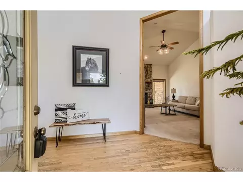 17 Aspen Ln, Bailey, CO 80421 photo 6