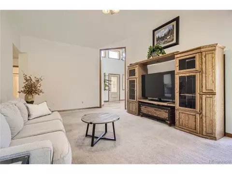 17 Aspen Ln, Bailey, CO 80421 photo 10