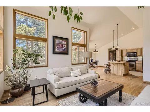 17 Aspen Ln, Bailey, CO 80421 photo 18