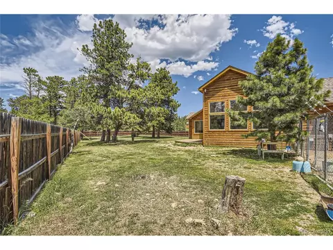 17 Aspen Ln, Bailey, CO 80421 photo 29