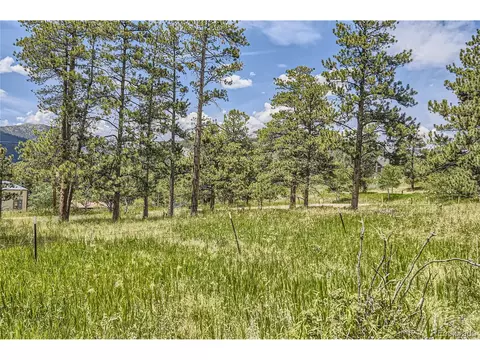 17 Aspen Ln, Bailey, CO 80421 photo 37
