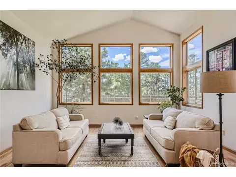 17 Aspen Ln, Bailey, CO 80421 photo 19