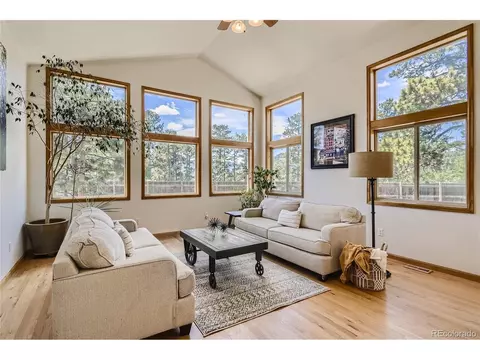 17 Aspen Ln, Bailey, CO 80421 photo 16