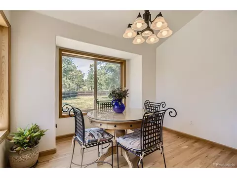 17 Aspen Ln, Bailey, CO 80421 photo 12