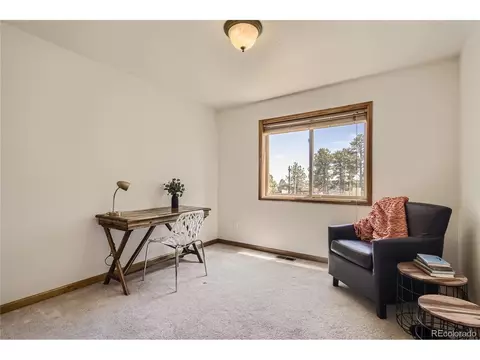 17 Aspen Ln, Bailey, CO 80421 photo 27