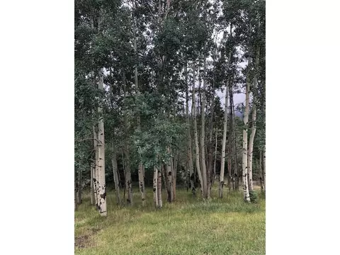 9546 Old San Isabel Rd, Rye, CO 81069 photo 4