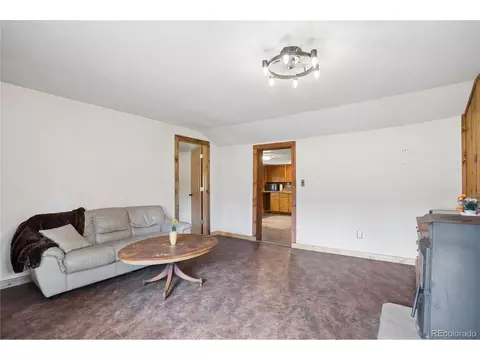 Living - 27 Gap Rd, Black Hawk, CO 80422 photo 4 of 4