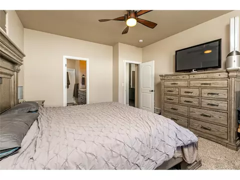 574 Ellingwood Pointe Dr, Windsor, CO 80550 photo 15