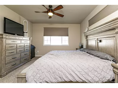 574 Ellingwood Pointe Dr, Windsor, CO 80550 photo 14