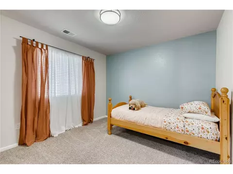 6572 Empire Ave, Frederick, CO 80516 photo 33