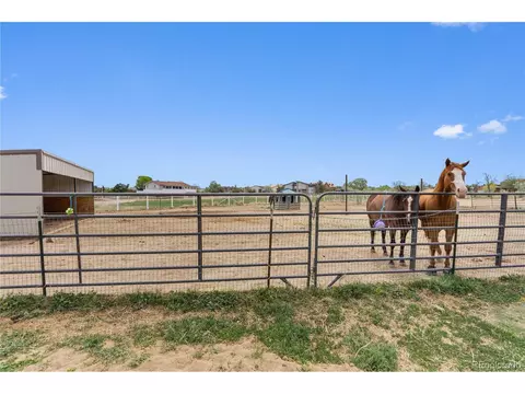 1981 E 138th Ave, Thornton, CO 80602 photo 40