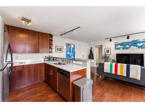 500 E 11th Ave #405, Denver, CO 80203 photo 8