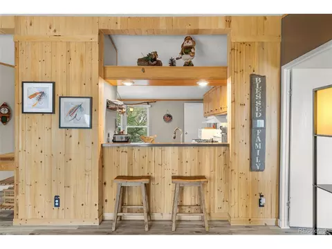 406 Breech Trl, Como, CO 80432 photo 13