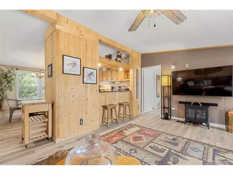 406 Breech Trl, Como, CO 80432 photo 8