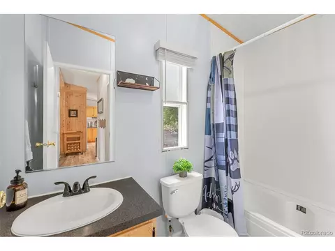 406 Breech Trl, Como, CO 80432 photo 33
