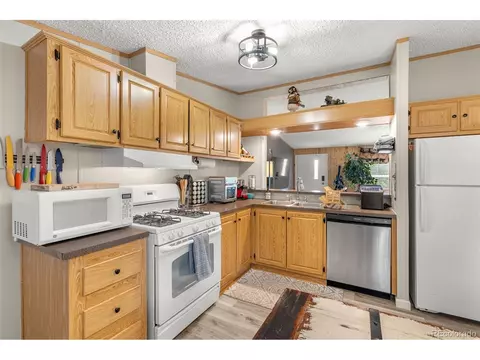 406 Breech Trl, Como, CO 80432 photo 17