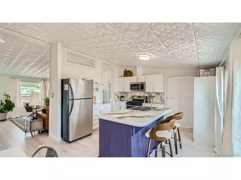 271 E Minstrel Dr, Divide, CO 80814 photo 9