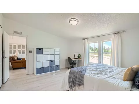 271 E Minstrel Dr, Divide, CO 80814 photo 12