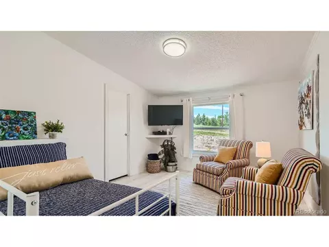 271 E Minstrel Dr, Divide, CO 80814 photo 20