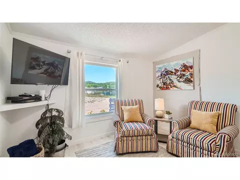 271 E Minstrel Dr, Divide, CO 80814 photo 22