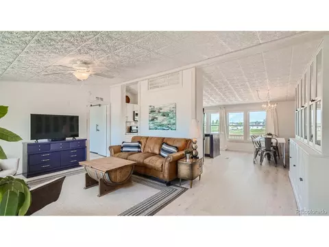 271 E Minstrel Dr, Divide, CO 80814 photo 4