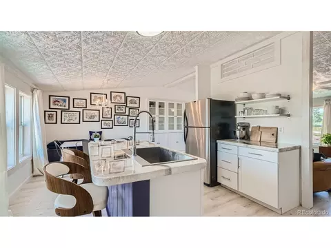 271 E Minstrel Dr, Divide, CO 80814 photo 10