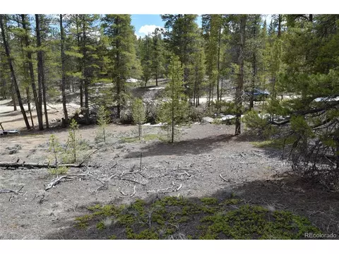 179 Birch Dr, Leadville, CO 80461
