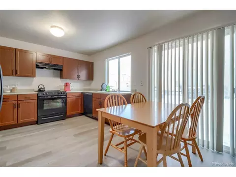 18674 E 43rd Pl, Denver, CO 80249 photo 10