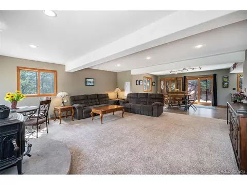 44 Conestoga Ct, Bailey, CO 80421 photo 10