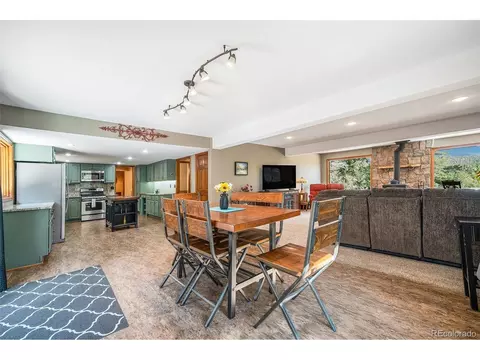 44 Conestoga Ct, Bailey, CO 80421 photo 9