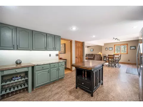 44 Conestoga Ct, Bailey, CO 80421 photo 8