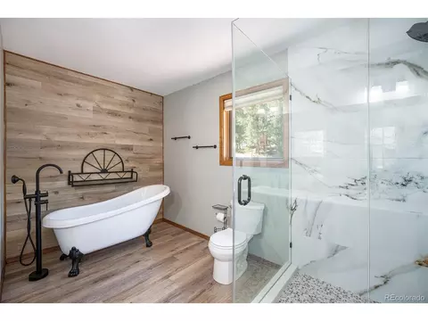 44 Conestoga Ct, Bailey, CO 80421 photo 23
