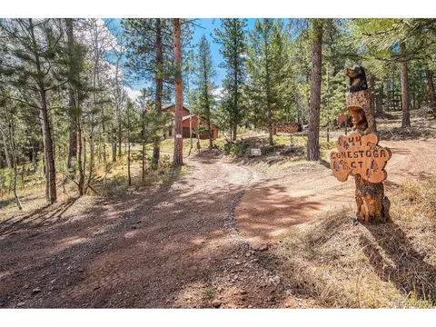44 Conestoga Ct, Bailey, CO 80421 photo 29