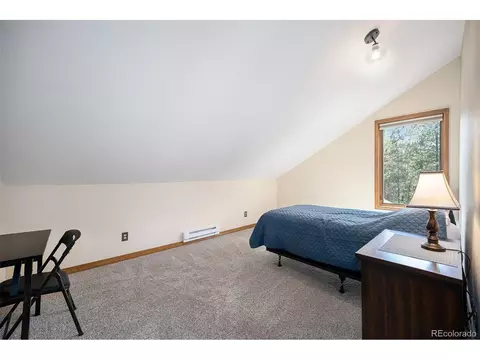 44 Conestoga Ct, Bailey, CO 80421 photo 20