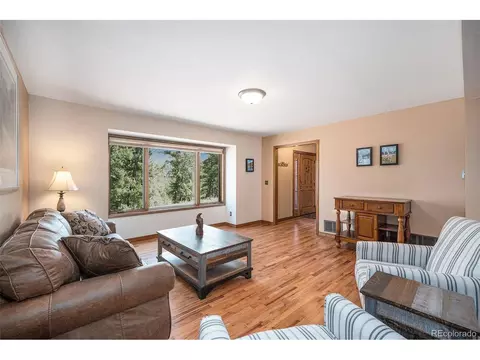 44 Conestoga Ct, Bailey, CO 80421 photo 13