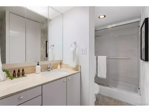 955 Eudora St #1802, Denver, CO 80220 photo 20
