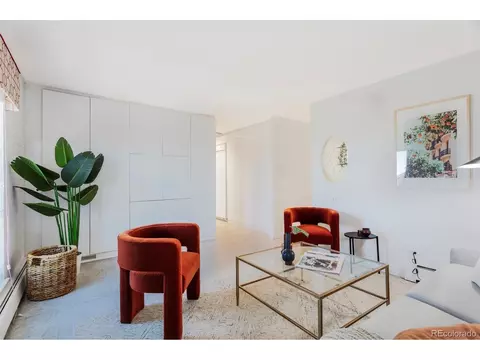 955 Eudora St #1802, Denver, CO 80220 photo 10