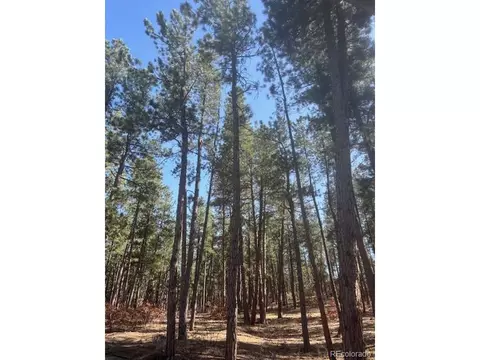560 Princess Rd, Cripple Creek, CO 80813