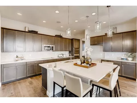 3038 Blithe Pt, Castle Rock, CO 80108 photo 8