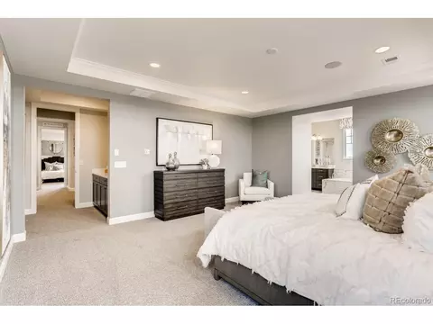3038 Blithe Pt, Castle Rock, CO 80108 photo 15