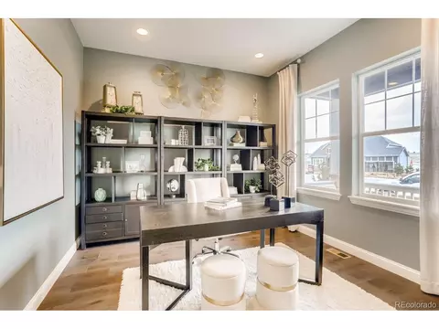 3038 Blithe Pt, Castle Rock, CO 80108 photo 12