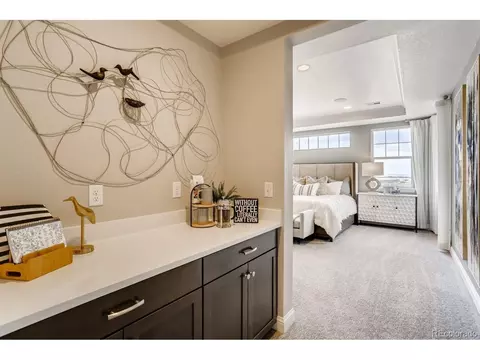 3038 Blithe Pt, Castle Rock, CO 80108 photo 14